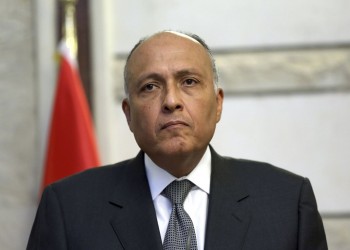 وزير الخارجية المصري: اجتماعات «سد النهضة» دون نتيجة