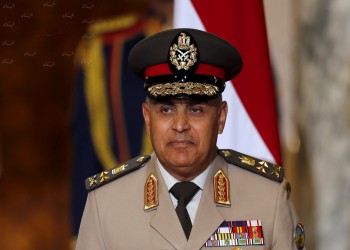 وزير الدفاع المصري يبحث تعزيز التعاون العسكري مع الهند