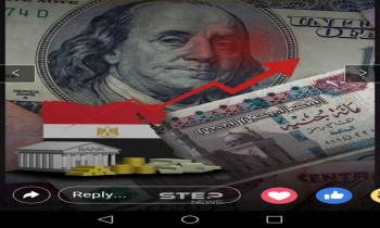 المركزي المصري ...من الدفاع عن الجنيه إلى ضبط السوق