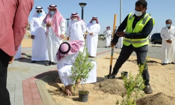 بدء زراعة 49 مليون شجرة بالمياه المجددة في السعودية حتى 2030